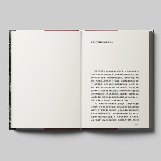 《大国之基：中国乡村振兴诸问题》 商品图5