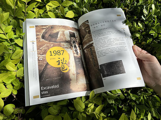 设计师的设计日记 第2版第二版 书籍设计版面 网格编辑设计原则 装帧设计印刷步骤装订方式 南征 编 电子工业出版社 商品图3