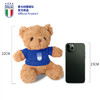 意大利国家队官方商品 | ITALIA 欧洲杯蓝色球衣小熊玩偶公仔周边 商品缩略图3