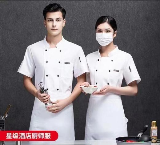 【ZK】短袖厨师服 商品图0