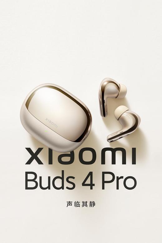 【柏联B1】【小米】小米Buds  4 Pro（仅限云南省内发货） 商品图0