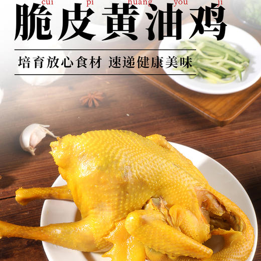 陶柒柒黄油脆皮鸡 精选优质土鸡古法烹饪 皮脆肉嫩口口飙汁 商品图0