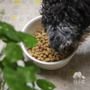 昆虫蛋白全价犬主食冻干粮（中通快递） | 公平贸易*Insect protein full price dog staple frozen dry food| Fair Trade 商品缩略图2