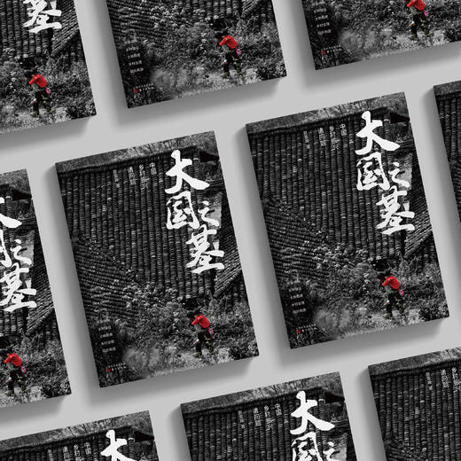 《大国之基：中国乡村振兴诸问题》 商品图2