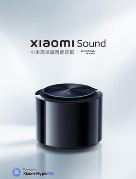 【柏联B1】【小米】小米音响Sound（仅限云南省内发货）