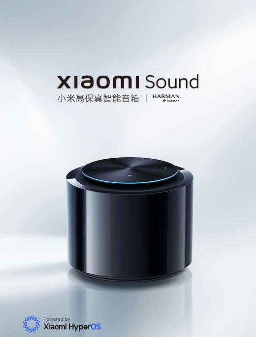 【柏联B1】【小米】小米音响Sound（仅限云南省内发货） 商品图0