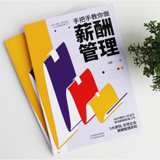 手把手教你做薪酬管理 商品图1