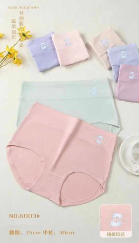LS竹纤维女士大版抗菌内裤1002