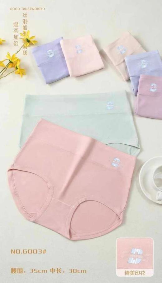 LS竹纤维女士大版抗菌内裤1002 商品图0