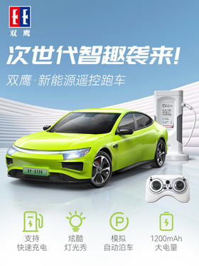 双鹰儿童电动遥控车玩具男孩女孩版赛车跑车2024年新款双鹰-遥控充电跑车(1/16)