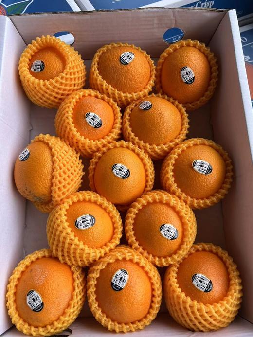 澳橙礼盒装（13头） 商品图1