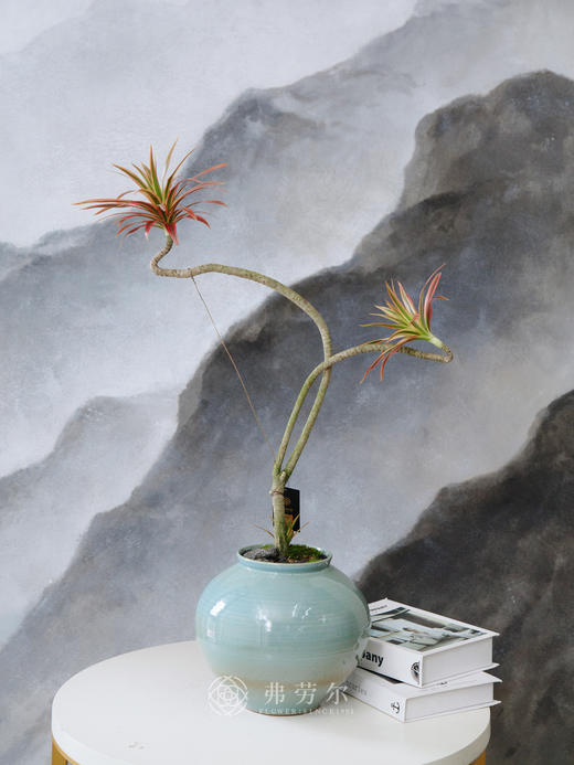 造型七彩铁 商品图0