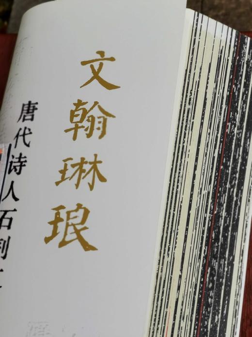 《文翰琳琅：唐代诗人石刻文献展》，八开本，规格260*370毫米，约200页，进口木浆纸高清精印，不反光。售价168元。 商品图1
