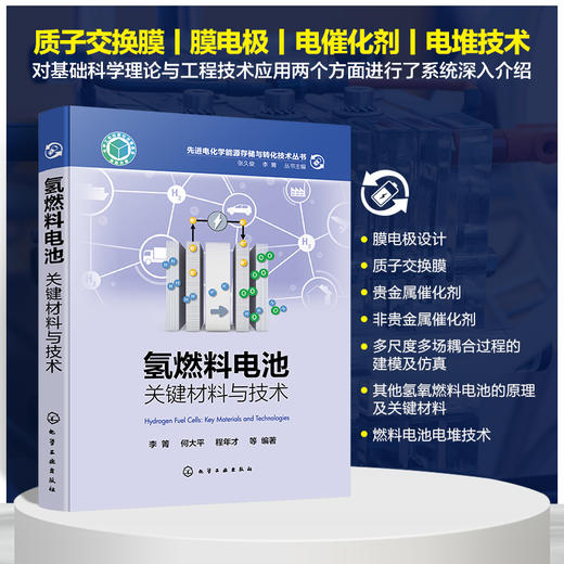氢燃料电池：关键材料与技术--先进电化学能源存储与转化技术丛书 商品图0