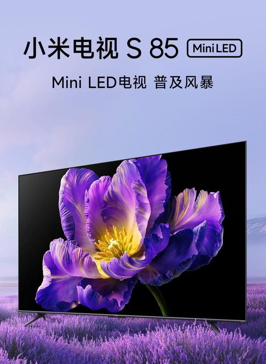 【柏联B1】【小米】小米电视S MiNi （55寸/65寸/75寸/85寸）（仅限云南省内发货） 商品图3