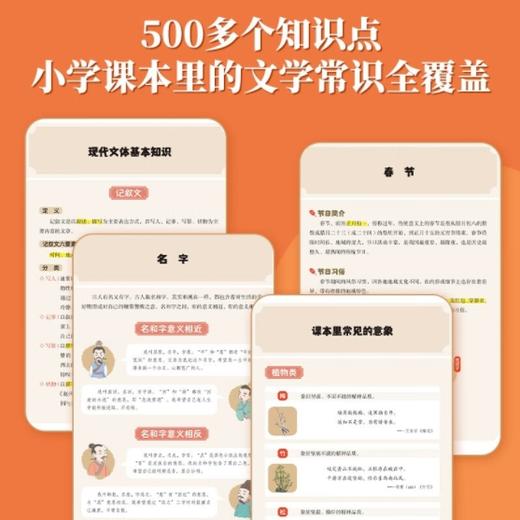 藏在小学课本里的必背文学常识 商品图2
