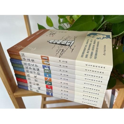 鲁迅作品精选（10册/套） 商品图5