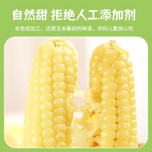 【云南特产！西双版纳拇指玉米】真空锁鲜，软糯香甜，细腻无渣，新鲜白糯迷你手指玉米儿童早餐 商品图2