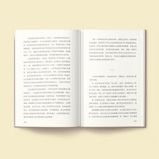 《基层中国：国家治理的基石》 商品图3