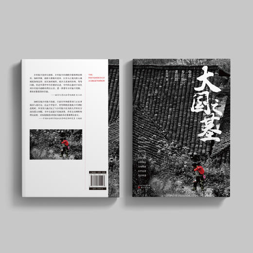 《大国之基：中国乡村振兴诸问题》 商品图11