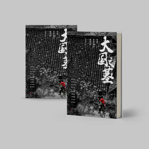 《大国之基：中国乡村振兴诸问题》 商品图6