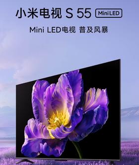 【柏联B1】【小米】小米电视S MiNi （55寸/65寸/75寸/85寸）（仅限云南省内发货）