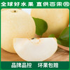 PAGODA百果园 A级-蜜梨8粒家庭装 商品缩略图4