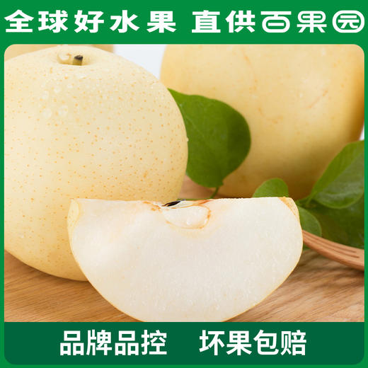 PAGODA百果园 A级-蜜梨8粒家庭装 商品图4