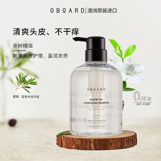 【澳啵啵】澳啵啵澳洲进口茶树油洗发露蓬松柔顺去油脂敏感头皮护理男女专用 商品图1