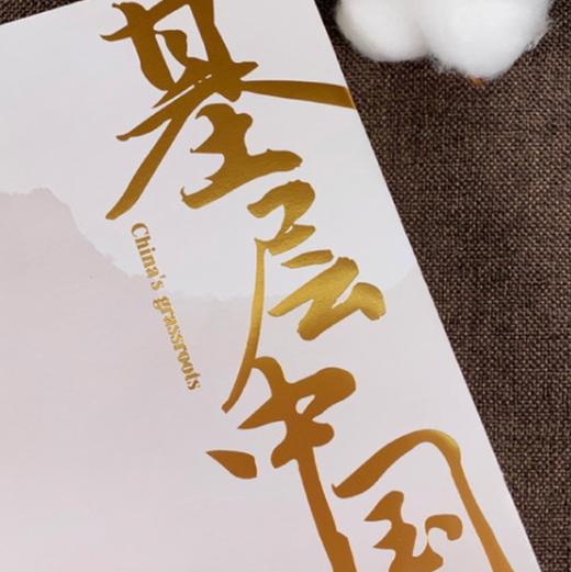 《基层中国：国家治理的基石》 商品图11