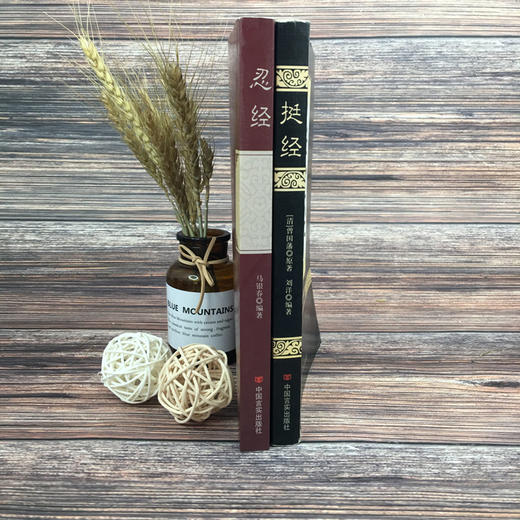 【全2册】挺经+忍经 古代圣贤韬光养晦智慧集大成  坚挺与忍耐 商品图1
