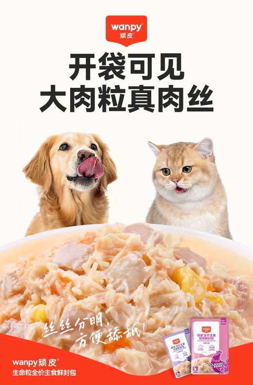 顽皮全价鲜封包 商品图4