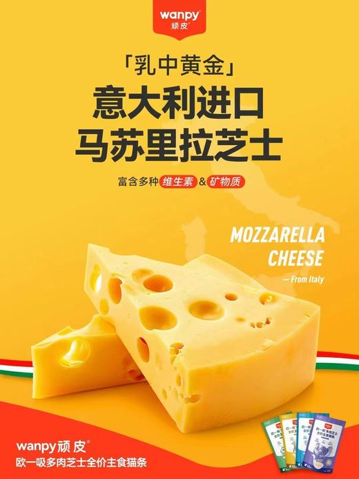 顽皮欧一吸多肉芝士全价主食猫条 商品图1