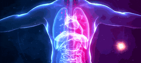  吃再多补品不如每天吃点它！每天吃2颗，瘦得快，气色好！湿气全排空！ 