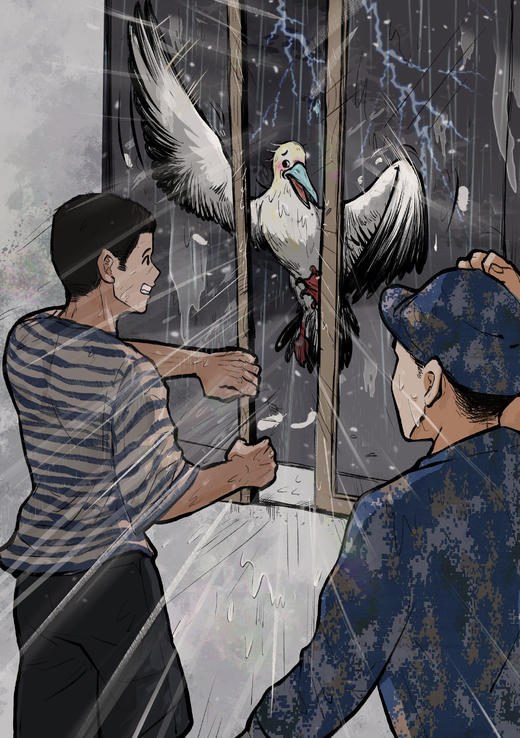 《小波比和李鲣儿》 商品图4