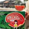 【分仓直发包邮】庞各庄西瓜5.5-6斤/11-12斤 商品缩略图4