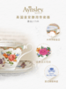 英国Aynsley安斯丽威尔顿欧式骨瓷小众咖啡杯套装下午茶茶具礼盒 商品缩略图3
