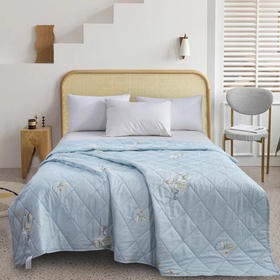 【洁丽雅】 花之恋亲肤被 JLY-CB931 150*200cm