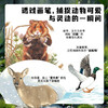 生命的故事（手绘版）（共10册）科普绘本昆虫昆虫世界 商品缩略图7