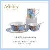 【样品特惠6折无原包装，仅1套，无货退款】英国Aynsley安斯丽小屋花园骨瓷家用饭碗面碗一人食碗盘餐具套装 商品缩略图0