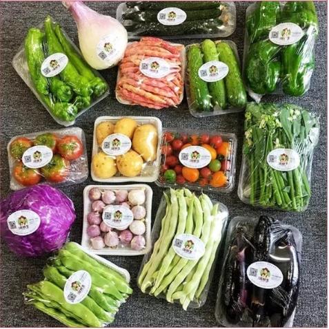 鸿翠园 有机蔬菜礼盒 商品图4