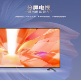 长虹（912620）（CHANGHONG）65英寸 65Q9N 原画旗舰电视 288Hz 游戏 4+64G