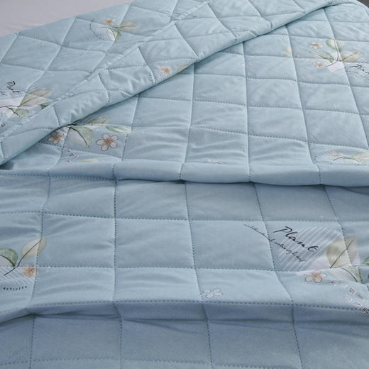 【洁丽雅】 花之恋亲肤被 JLY-CB931 150*200cm 商品图1