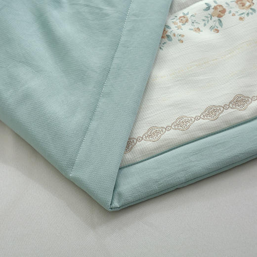 洁丽雅 蔷薇花蔓美肤被 JLY-CB923 200*230cm 商品图5