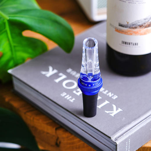 cheer启尔 Submarine快速醒酒器 迷你便携轻巧醒酒倒酒2合1醒酒器 商品图0