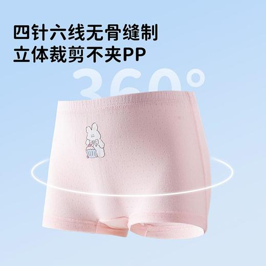 3部顶瓜瓜女童蛋糕兔网眼平角内裤3条装DTZWNK-AT6807 商品图1