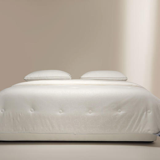 KYM-005 KENZO黄金绵羊毛四季被 商品图6