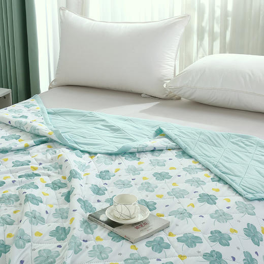 【洁丽雅】 春娇水洗被 JLY-CB922 150*200cm 商品图2