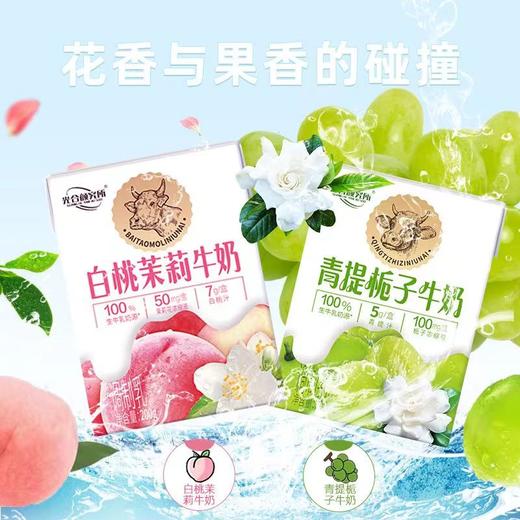 光合颜究所果汁纯牛奶系列200ml*12/箱【FY】 商品图2