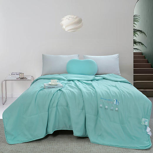 洁丽雅 玻尿酸养颜被 JLY-CB926 200*230cm 商品图0